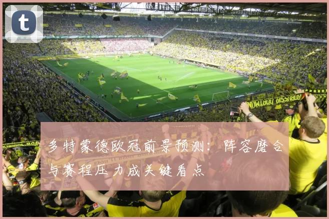 多特蒙德欧冠前景预测：阵容磨合与赛程压力成关键看点