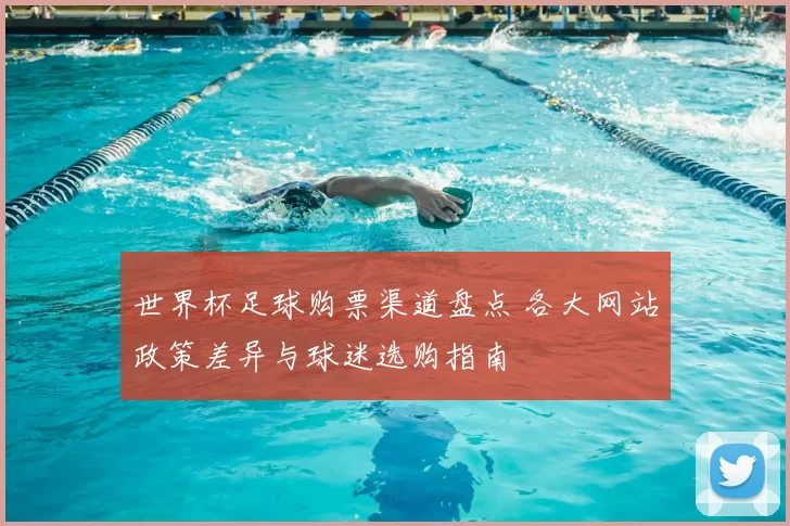 世界杯足球购票渠道盘点 各大网站政策差异与球迷选购指南