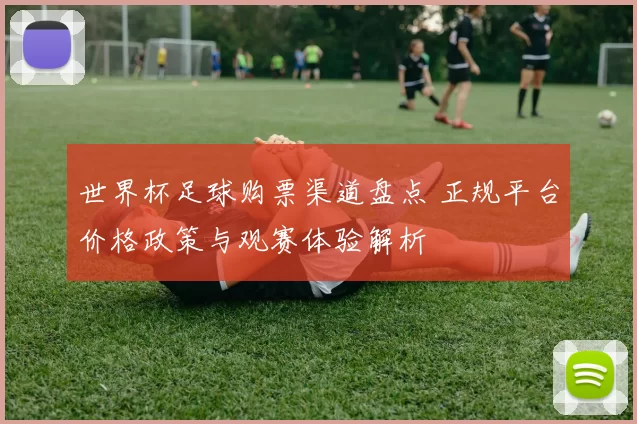 世界杯足球购票渠道盘点 正规平台价格政策与观赛体验解析