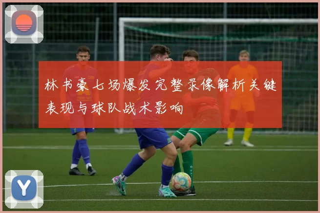 林书豪七场爆发完整录像解析关键表现与球队战术影响